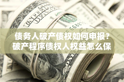 北京债务人破产债权如何申报？破产程序债权人权益怎么保障？
