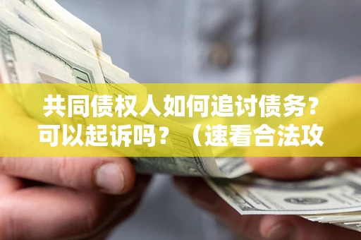 北京共同债权人如何追讨债务？可以起诉吗？（速看合法攻略）